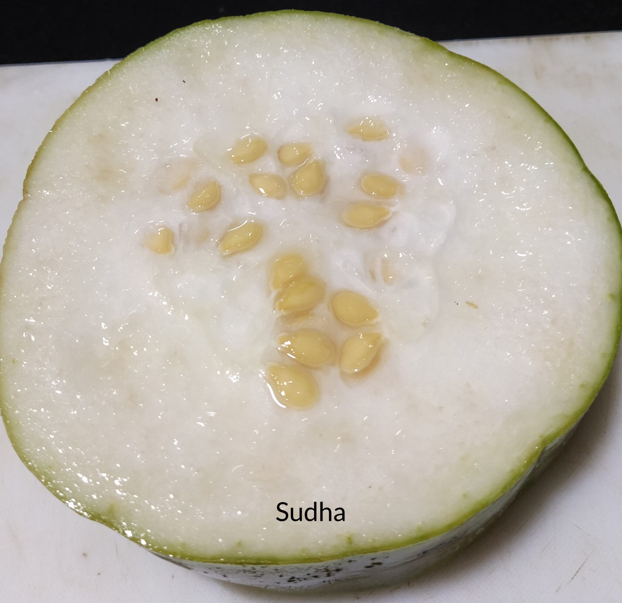 Petha (पेठा) Popular Indian Ash Gourd Candy My Family Recipes Petha (पेठा) Popular Indian Ash Gourd Candy My Family Recipes